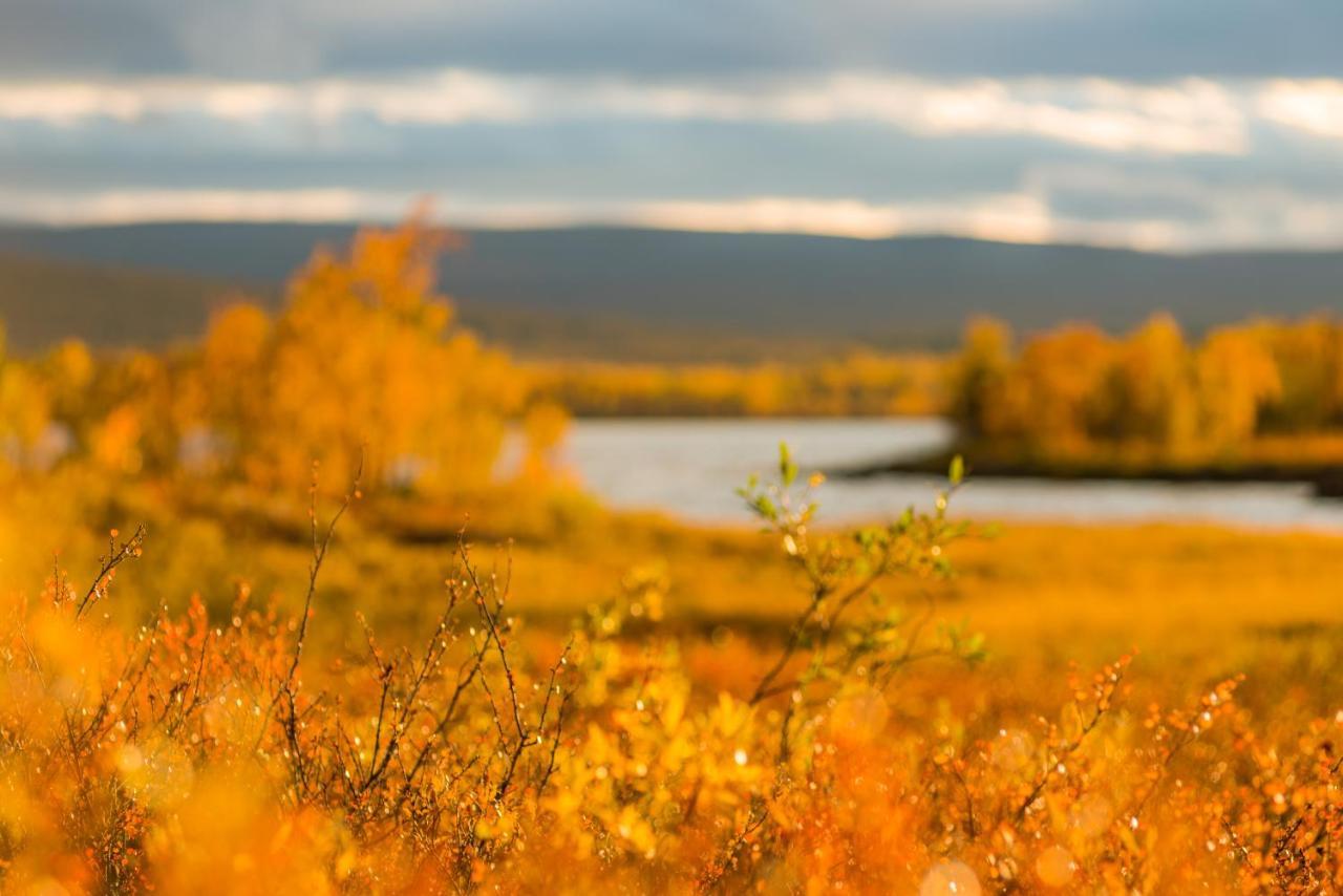 Arctic Gourmet Cabin Kiruna község Kültér fotó