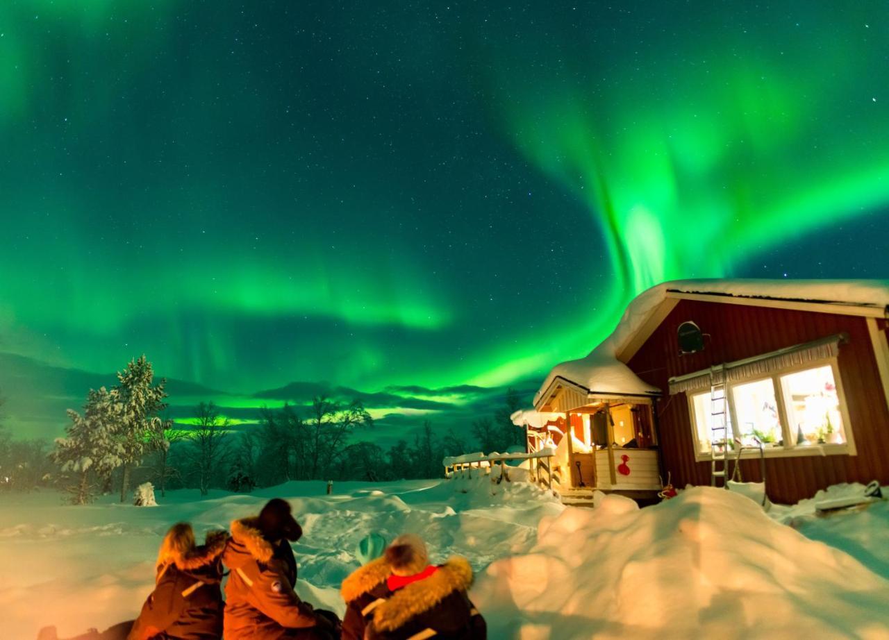 Arctic Gourmet Cabin Kiruna község Kültér fotó