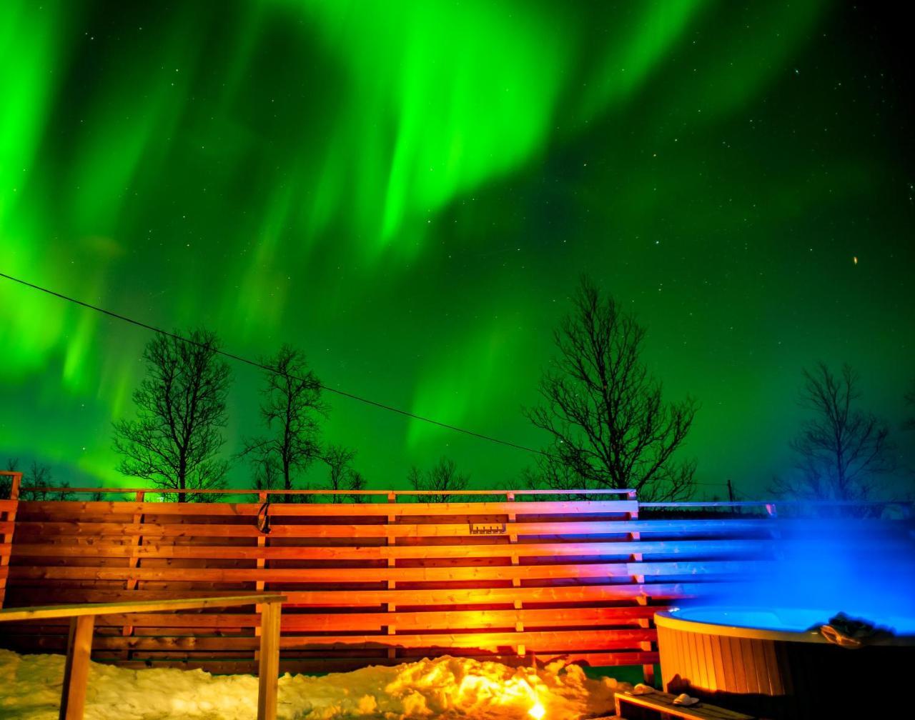 Arctic Gourmet Cabin Kiruna község Kültér fotó